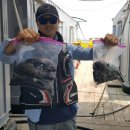 수진좌대 이미지