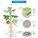 액비 사용하는 방법. 1 이미지