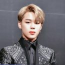 펫토피아 이미지