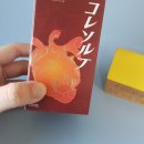 뇌졸증 초기증상 이것만 기억해