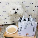 애플벳 동물병원 | 강아지 보양식 슈퍼벳 리퀴드잇 액상사료 후기