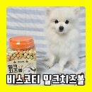(11/15)반려동물 수제간식 댕치킨 | 강아지 비스킷 쿠키 추천! 노즈워크, 칭찬용으로 좋은 &#39;비스코티 밀크치즈볼&#39;