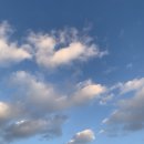 [경남/남해] 1일차 ㅣ Eaf, 삼천포용궁수산시장, 매듭달스무날