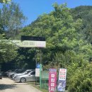 풍전가든 | [250712]춘천 풍전가든 다녀온 후기