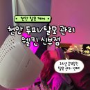 웰킨 두피 탈모 센터 | 천안탈모케어 마스터두피케어 웰킨 두피탈모센터 후기