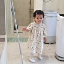 분당 그로모 키즈풀에서 아기있는 세 가족 신나게 놀기👩🏻‍🧑🏻‍👧🏻💗
