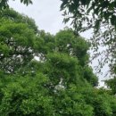 나래정형외과의원 이미지