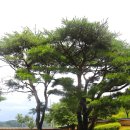 강풍경 파크 이미지