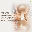 노바블룸디자인 이미지