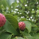 군위댐야영장 이미지