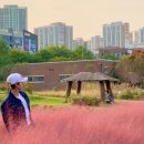 경정닭