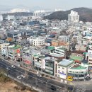 유성 뉴스세상