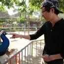 애완동물원 이미지