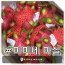 달콤마실 | [미미네 마실] 레드용과 - 생각보다 훨씬 달콤하고 맛있었던 후기