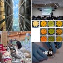 잉크천지 이미지