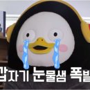 텬배님들 ebs는 온에어 방송없나용ㅠㅠ 이미지