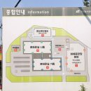 양재꽃시장 작약시즌 영업시간/ 생화구매 후기