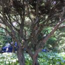 서초대표공인중개사사무소 이미지