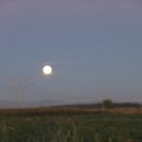 파라다이스D 이미지