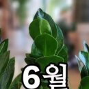 [10/20]가드닝 클래스 이미지