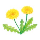 숑숑펫살롱 이미지