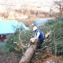 홍천국유림관리소 이미지