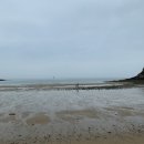 비치민박 이미지