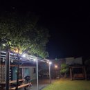 용수보룸 | [제주숙소_용수보룸 펜션] 부모님과 함께하는 제주도여행 감성숙소 내돈내산 후기 (독채펜션 / 방2+욕실...