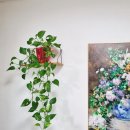 우리 집 공기를 책임지는 효자 식물들 🌿 이미지
