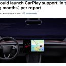 복수카서비스 이미지