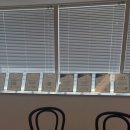 팽브로우 이미지