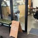 포유그릭요거트아이스크림