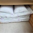 너멍골 펜션 | 강화도 바다뷰 펜션 바다랑 눈 마주치고 심쿵한 하루