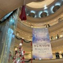 방구석1열 인형극장 | [발레] 예술의전당 호두까기인형 오페라극장 4층 A블록 내돈내산 솔직후기