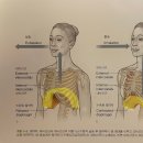 필라테스퀸 - 중구 장춘로 4 | 필라테스퀸