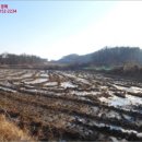 여주-1111 네이버블로그