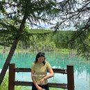 천객만래 | [일본/삿포로] 투어비스 후라노&amp;비에이투어 "하루하루투어" 후기 월요일 여행_ 천객만래 점심후기