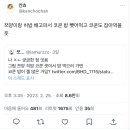 여남차별해서 밥주는 가게에 쯔양 히밥 코쿤 셋이 가면 밥 똑같이 받는다 vs 코쿤이 더 받는다 이미지