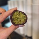 카페(cafe) 다온 | [부안 점장 추천!] 서초동 두쫀쿠 말쫀쿠 디저트 카페 추천 카페 오마이굿니스(CAFE OH MY GOODNESS)