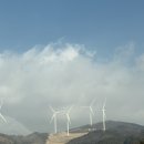 주주목장 | 대관령 주주파크 아기랑 가볼만한 곳｜동물체험 솔직 후기