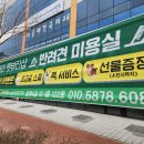 로즈메리 펫뷰티샵 이미지