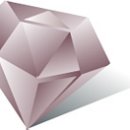 씨앤케이(CNK) 이미지