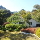 정원이 아름다운 집 이미지