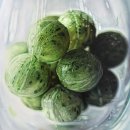 거제-연초-연초-비상-13 | [공지] [부산 전시] 이번 주에 뭐 볼까?[2026년 2월 1일~ ]