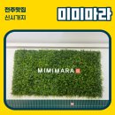 [전주맛집] 미미마라 신시가지점 / 전주 신시가지 마라탕 맛집 / 전주 마라탕 맛집