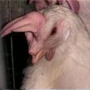 경제농장 이미지