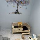 도그캐슬 이미지