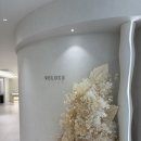 이미주헤어라인 | 밴드] 청담 웨딩밴드 ‘베루체 청담’ 상담 & 계약 후기💍 | 할인코드 및 견적공유 | 요즘웨딩, 다이렉트...