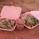 속초냄비밥김치찌개 이미지