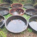 바위섬소도 이미지